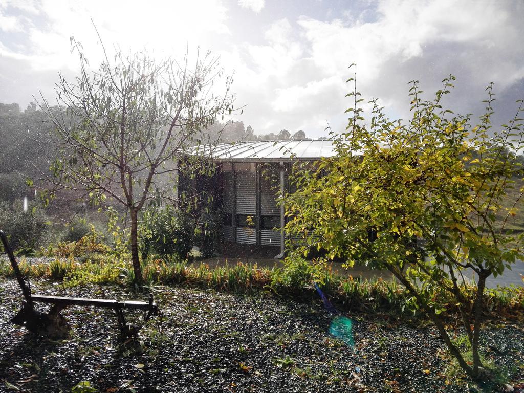 Bela Vista Silo Housing Villa Alfandega Da Fe Bagian luar foto