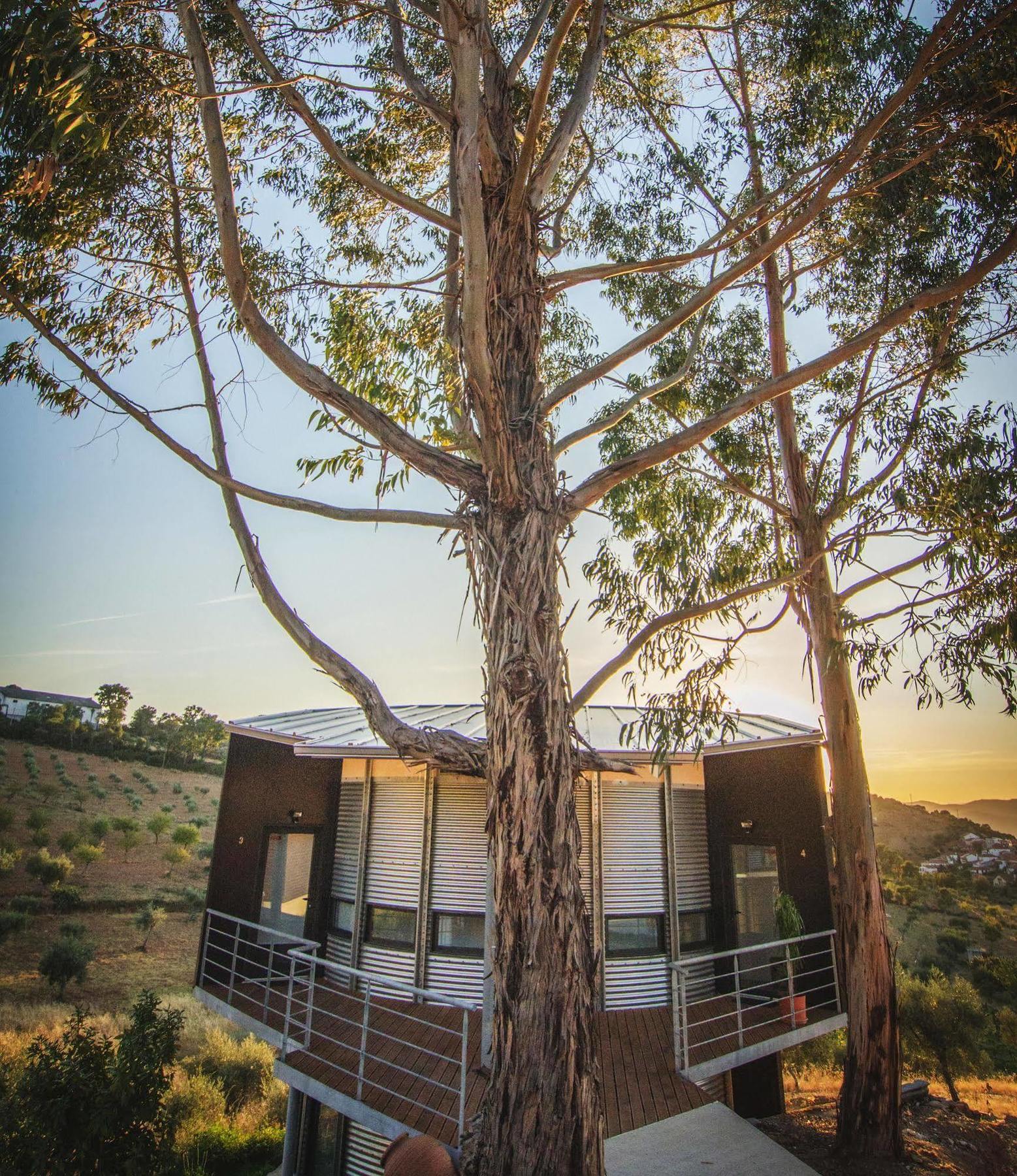 Bela Vista Silo Housing Villa Alfandega Da Fe Bagian luar foto